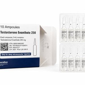 Genuine testosterone enanthate 250mg box and 10 glass ampoules for deep intramuscular injection.